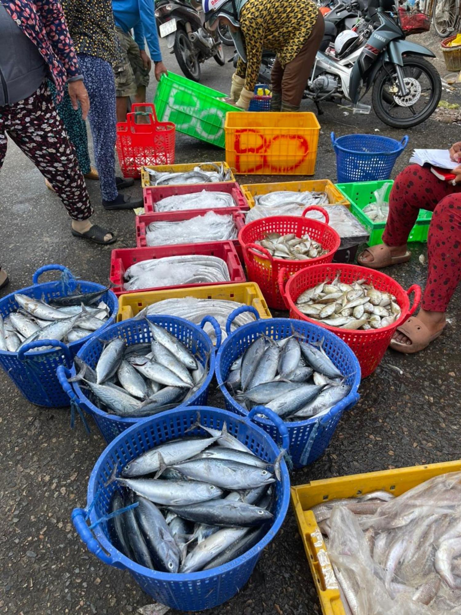 Duc Luu Quang Hotel Binh Thuan 뚜이퐁현 외부 사진