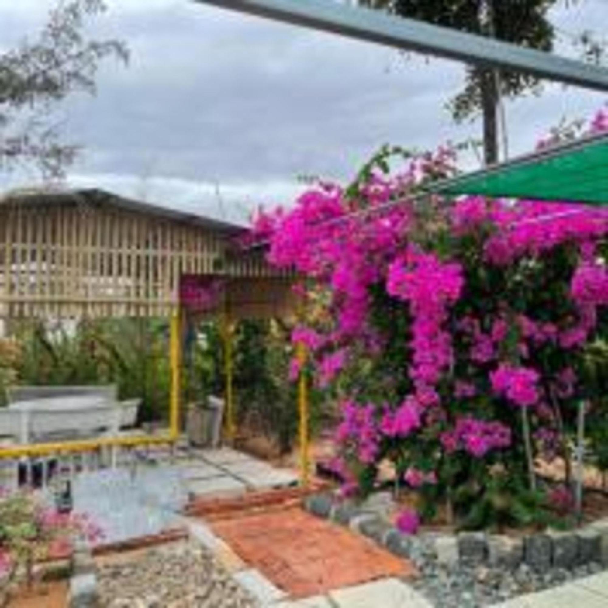Duc Luu Quang Hotel Binh Thuan 뚜이퐁현 외부 사진
