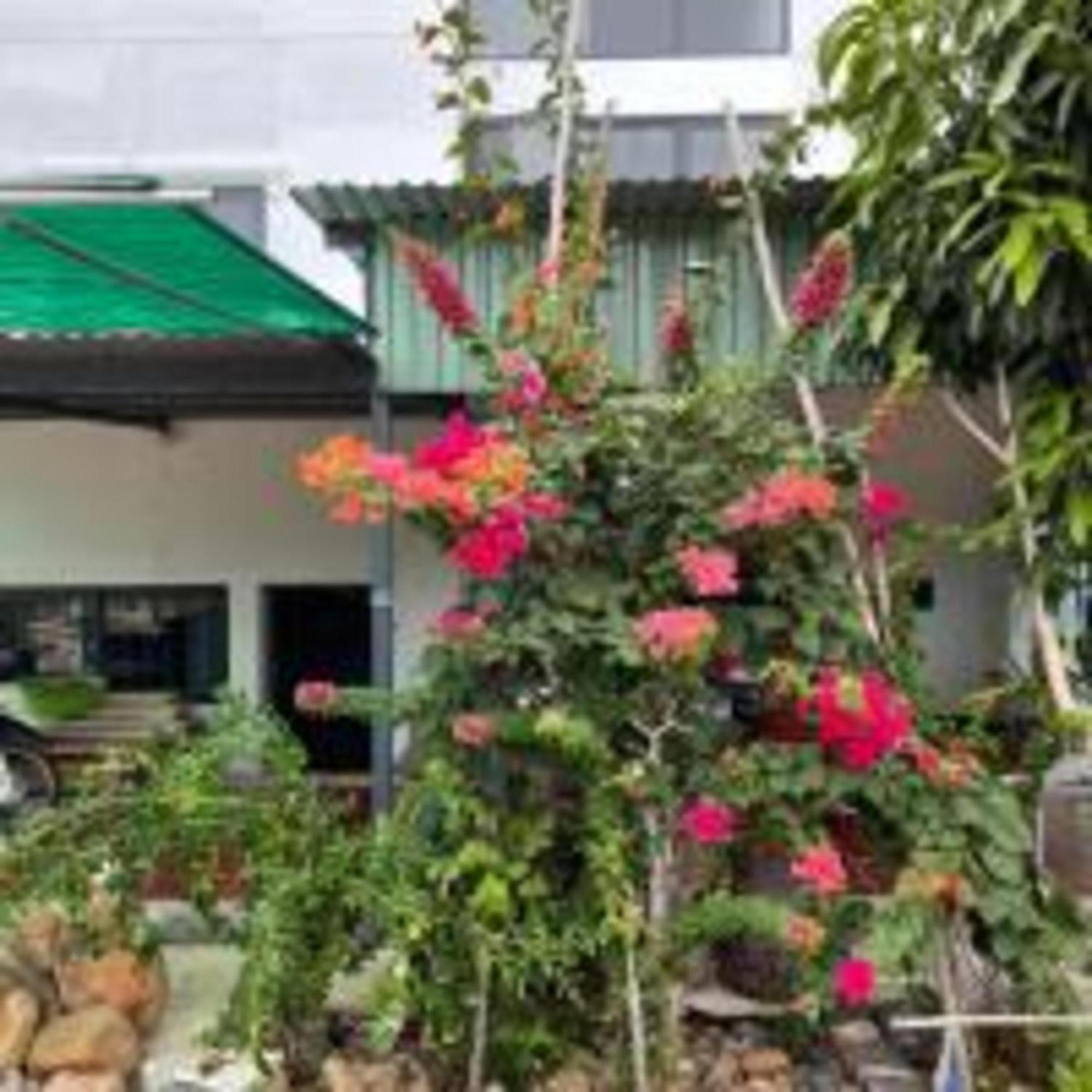 Duc Luu Quang Hotel Binh Thuan 뚜이퐁현 외부 사진